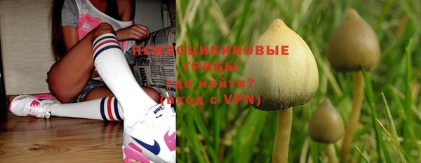 ГАЛЛЮЦИНОГЕННЫЕ ГРИБЫ Абинск