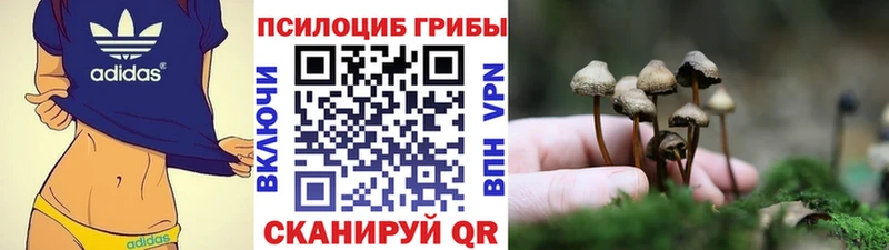 Псилоцибиновые грибы MAGIC MUSHROOMS  Нефтеюганск 